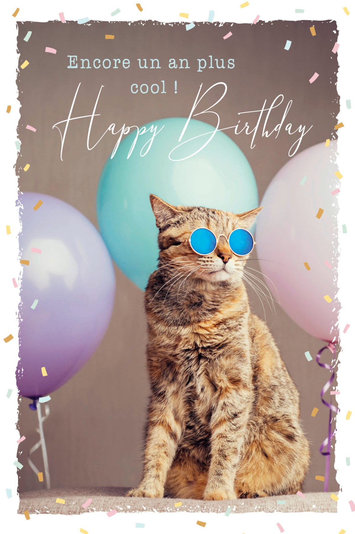 ABC Geburtstagskarte FR B6 53066 Sunny Cat – Hochwertig & günstig bei ShopDeca