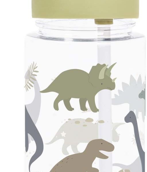 ALLC Trinkflasche 450ml DBDIGR33 Dinosaurs