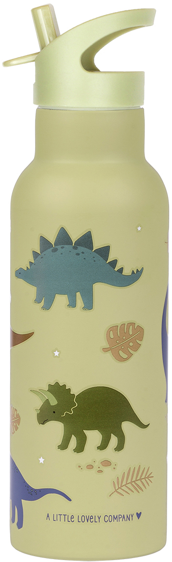 ALLC-DBSXDI75-8719715003504 ALLC Trinkflasche XL 500ml DBSXDI75 Dinosaurs – Hochwertig & günstig bei ShopDeca