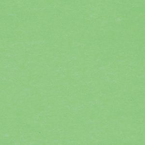 BIELLA Trennstreifen Karton 2 Loch 19919030U grün, 24x10.5cm 100 Stk.