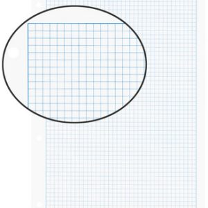 BIELLA Einlageblätter mit Rahmen A4 45144500U weiss,kar. 5mm,4-Loch 100Bl.