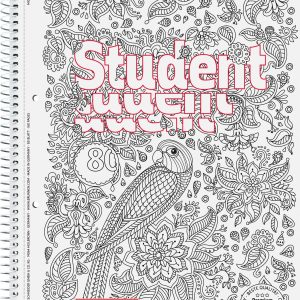 BRUNNEN Collegeblock Student A4 1067427 liniert mit Rand 80 Blatt