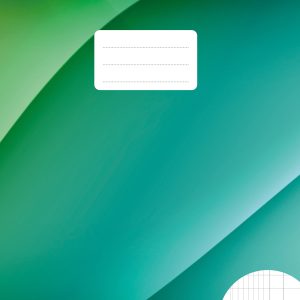 BÜROLINE Heft E5 533875010 2 Kolonnen 90g