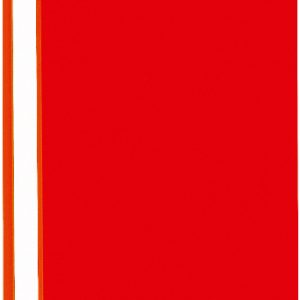 BÜROLINE Schnellhefter A4 609021 rot