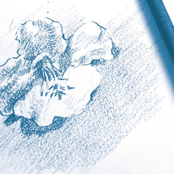 CLAIREFONTAINE Zeichenblock A5 96626C Weiß 30 Blatt