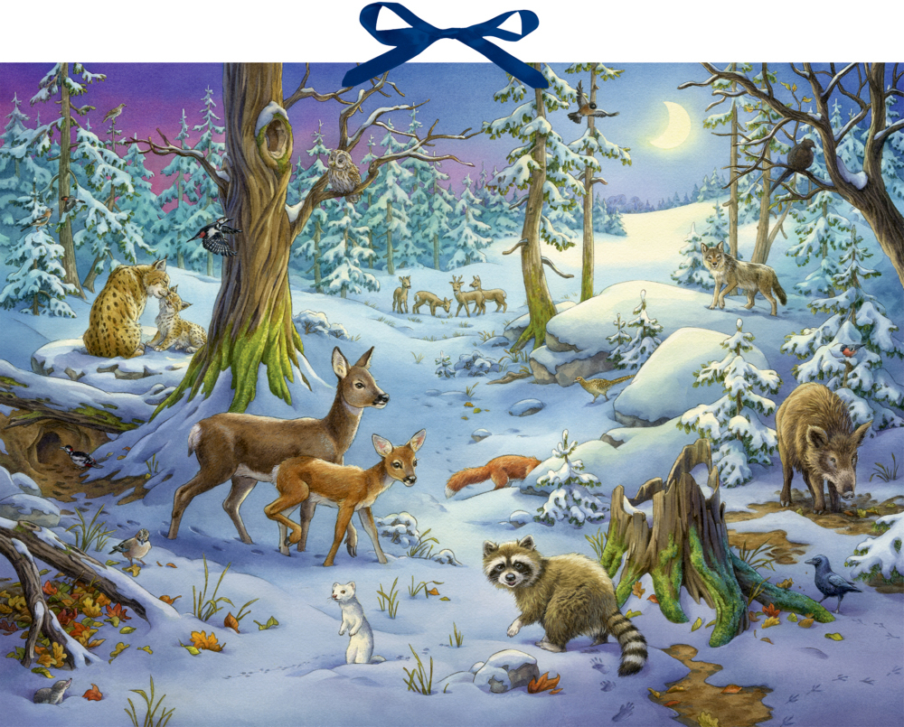 COPPENRATH-72257-4050003722573 COPPENRATH Adventskalender 52x38cm 72257 Hört ihr die Tiere im Wald – Hochwertig & günstig bei ShopDeca
