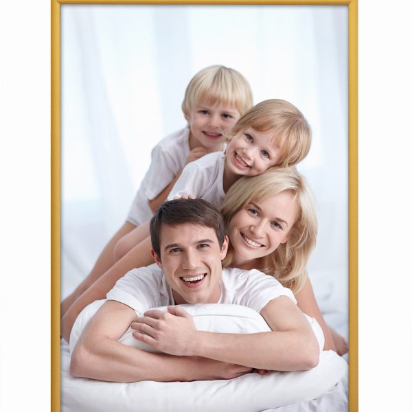 DEBEX Wechselrahmen 21×29,7cm 900012-210X2 Alu gold