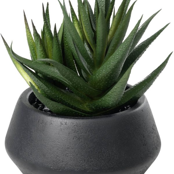 EGLO Kunstpflanze 17.5cm 428491 grün, im Topf