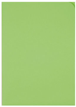 ELCO Organisationsmappe Ordo A4 29466.62 discreta, int.grün 100 Stück