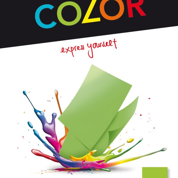 ELCO Office Color Papier A4 74616.62 80g, grün 100 Blatt