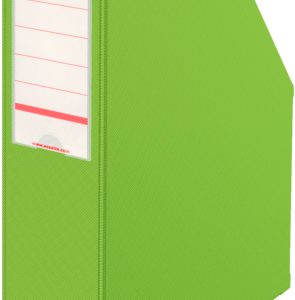 ESSELTE Zeitschriftenbox 23,4x7x31,5cm 56006 grün