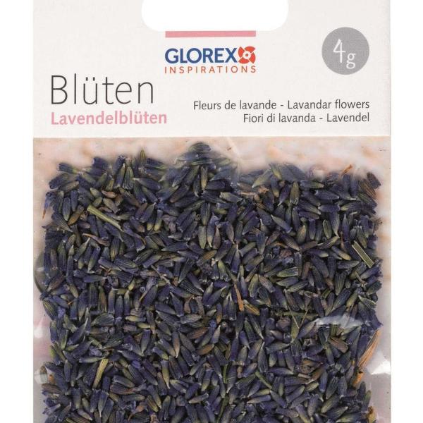 GLOREX Lavendelblüten 4g 61601105 violett