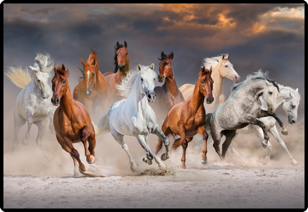 HANSA Schreibunterlage 50x34cm 41-6000.082 Pferd