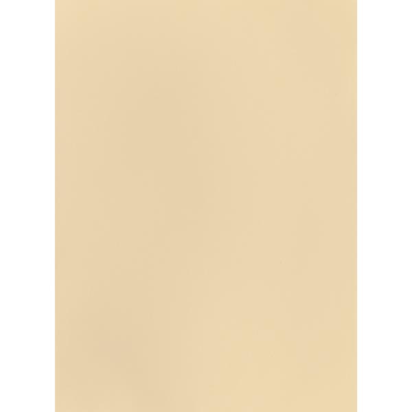 I AM CREATIVE Fotokarton 50x70cm 2902498303 270g, creme