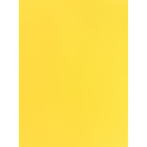 I AM CREATIVE Fotokarton 50x70cm 2902498305 270g, sonnegelb