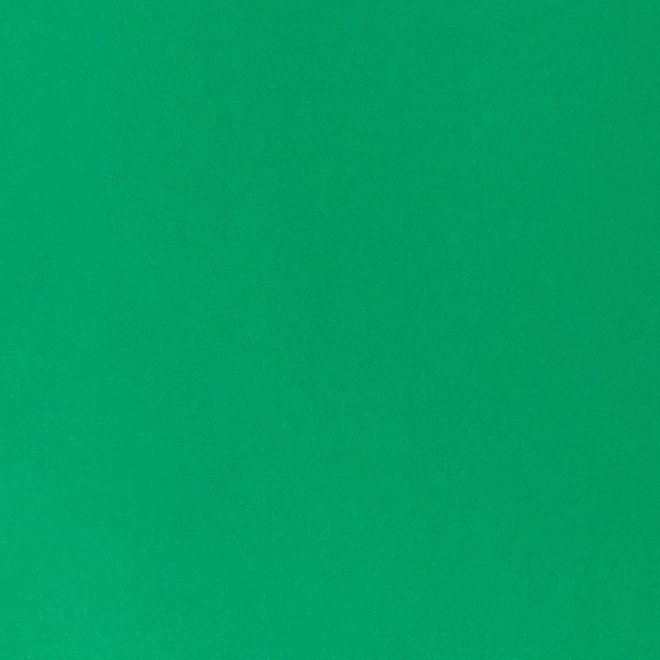 I AM CREATIVE Fotokarton 50x70cm 2902498327 300g, tannengrün