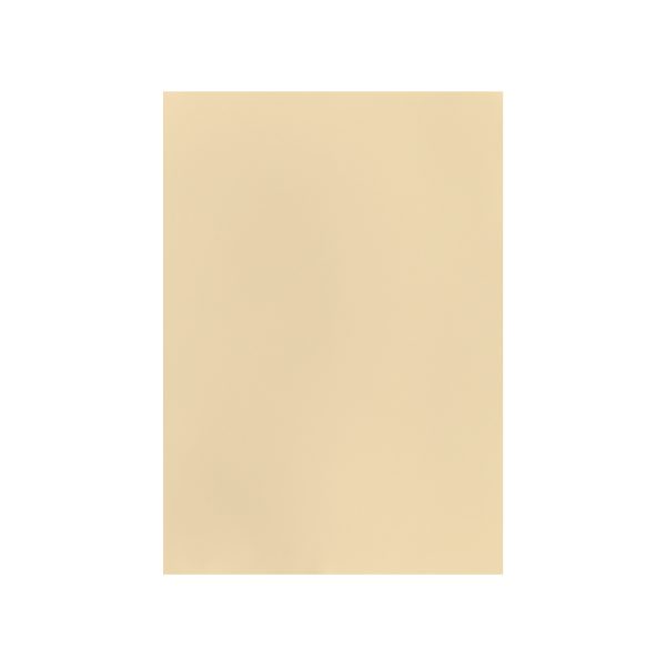 I AM CREATIVE Fotokarton A4 2903018303 270g, creme