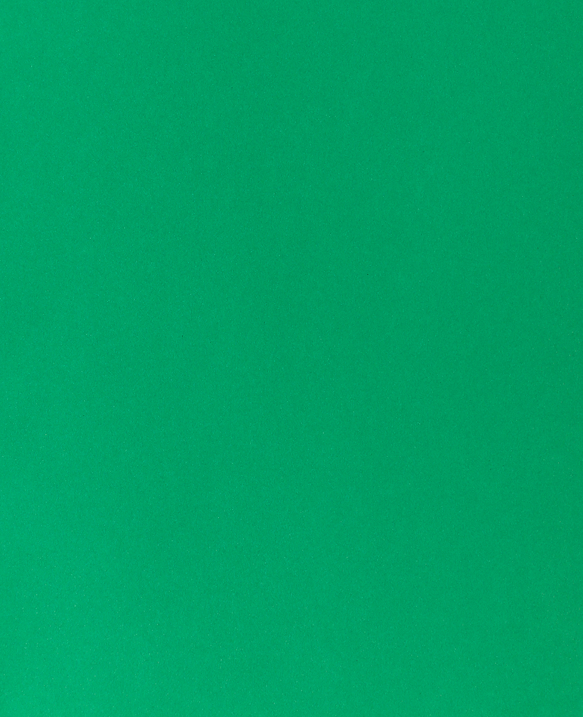 I-AM-CREATIVE-2903018327-8714677254599 I AM CREATIVE Fotokarton A4 2903018327 270g, tannengrün – Hochwertig & günstig bei ShopDeca