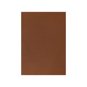 I AM CREATIVE Fotokarton A4 2903018345 270g, mittelbraun