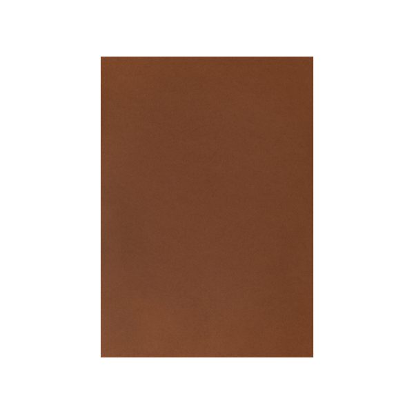 I AM CREATIVE Fotokarton A4 2903018345 270g, mittelbraun