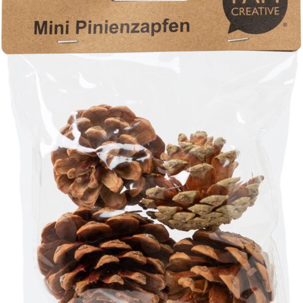 I AM CREATIVE Pinienzapfen 6102.871 mini 4 Stück