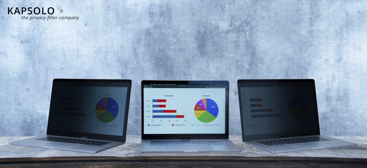 KAPSOLO 2-wege Blickschutzfilter KAP10145 standard 11,6 – Hochwertig & günstig bei ShopDeca