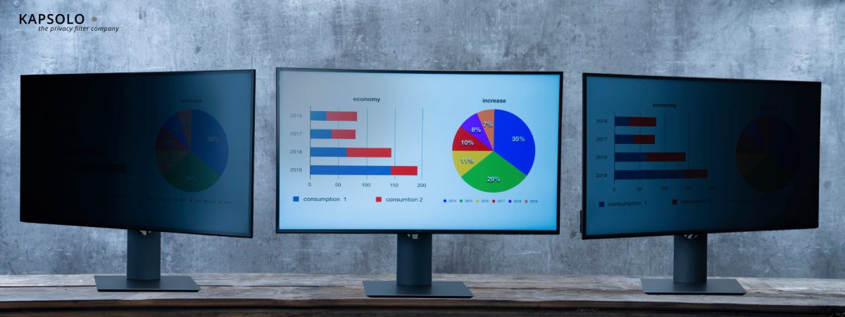 KAPSOLO 2-wege Blickschutzfilter KAP10698 standard 17,0 – Hochwertig & günstig bei ShopDeca