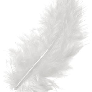 KNORR PRANDELL Marabufedern 10cm 6619002 weiss 15 Stück
