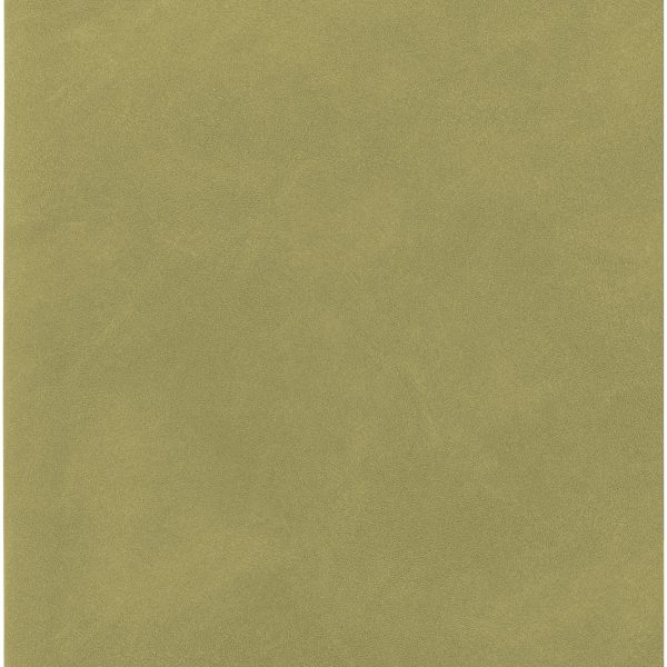 KOLMA Notizbuch Smooth A5 06.440.01 doted, grün 144 Blatt