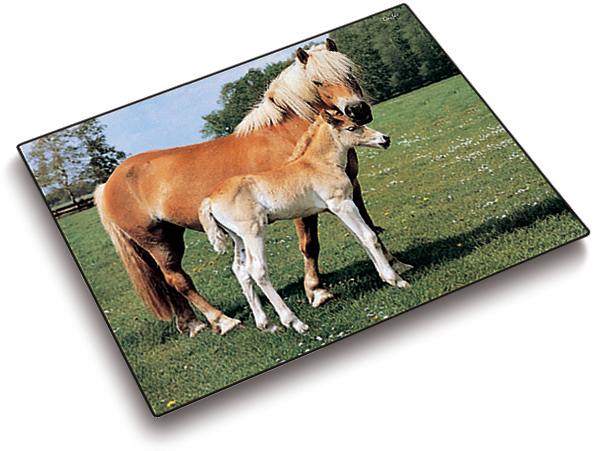 LÄUFER Schreibunterlage 46587 Pferde 53x40cm