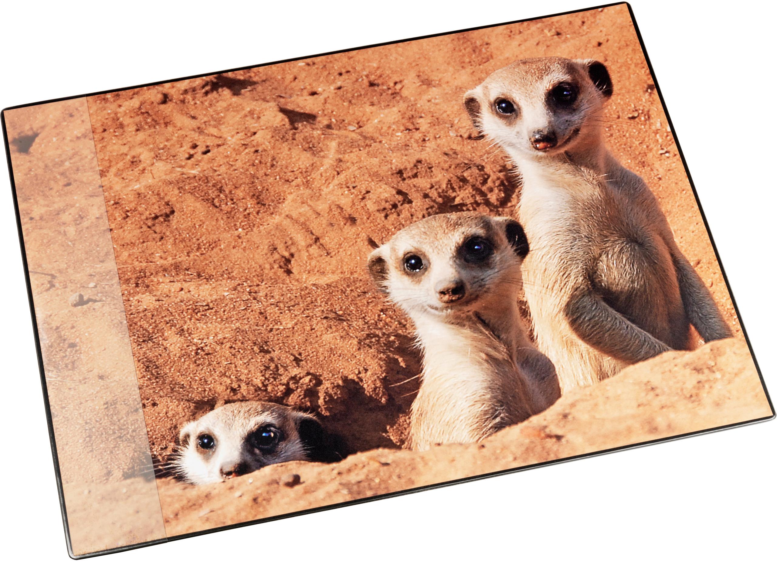 LAEUFER-46596-4006677465964 LÄUFER Schreibunterlage 46596 Erdmännchen 53x40cm – Hochwertig & günstig bei ShopDeca