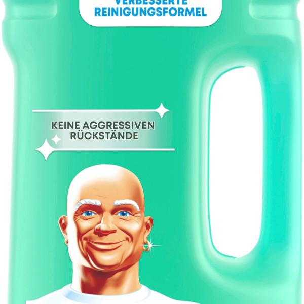MR.PROPER Allzweckreiniger 972078 Frühlingserwachen 2lt