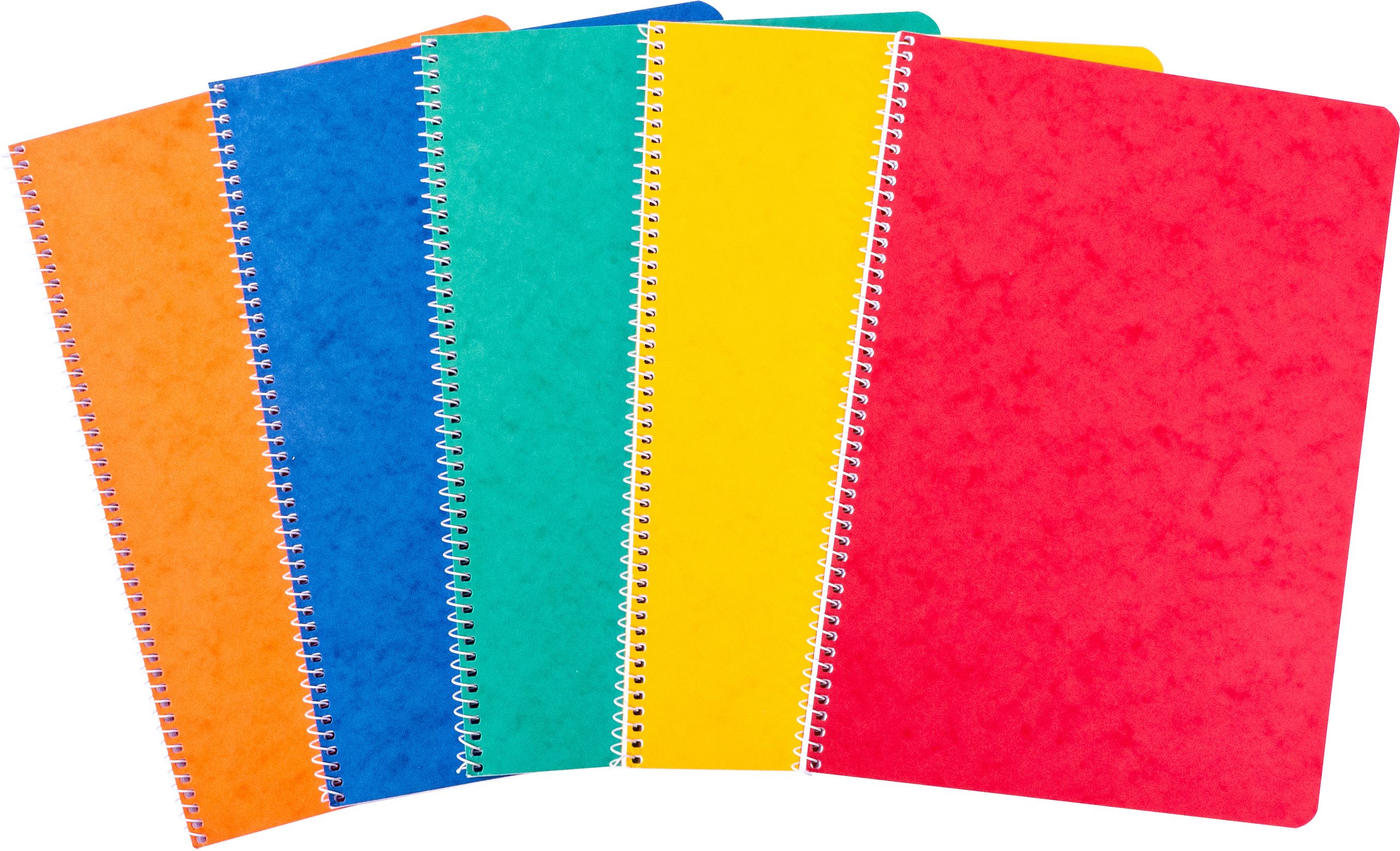 NOVOOO-729783-9010729086828 NOVOOO Spiralheft ass. A4 729783 kariert, 4mm, 80g 48 Blatt – Hochwertig & günstig bei ShopDeca