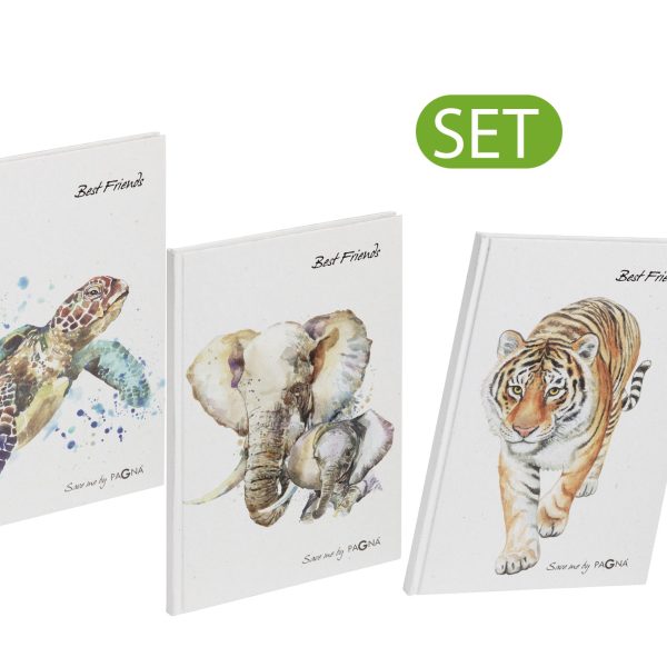 PAGNA Freundebuch Set Save me 3 Stk. 20374-25 Save me No.3 60 Seiten