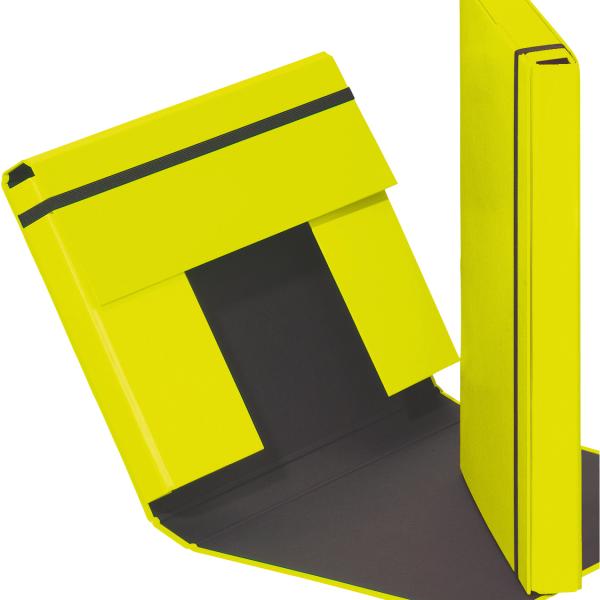 PAGNA Sammelbox Trend A4 21308-17 Gummizugverschluss grün