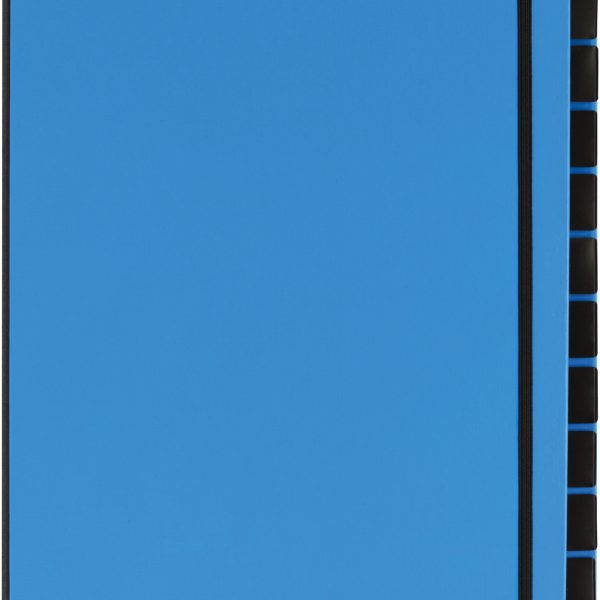 PAGNA Pultordner Trend A4 24129-13 hellblau 12 Fächer