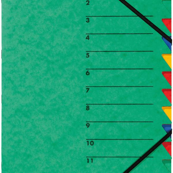 PAGNA Ordnungsmappe EASY A4 24131-03 grün 12 Fächer