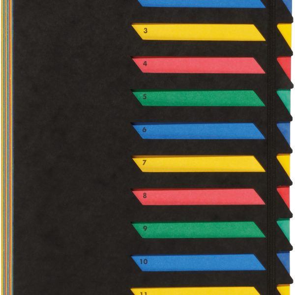 PAGNA Deskorganizer A4 24141-04 schwarz 12 Fächer