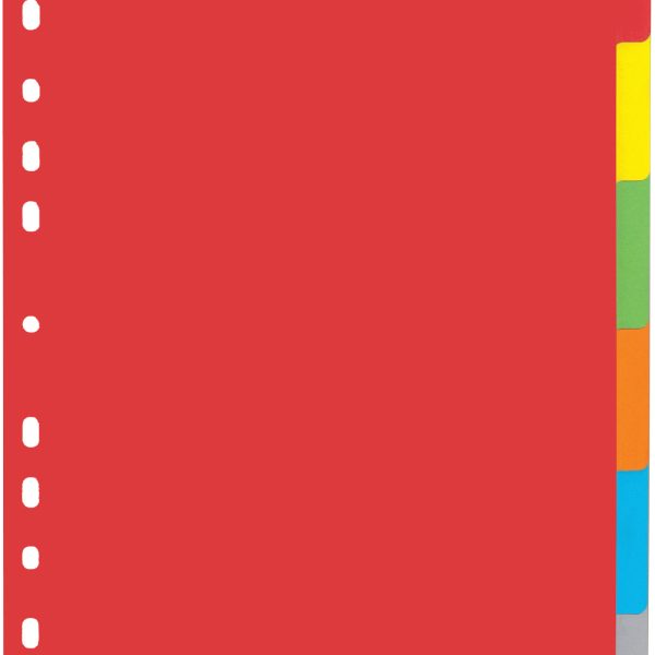 PAGNA Kartonregister A4 31061-20 intensiv 6-teilig