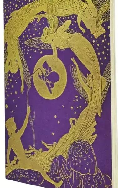 PAPERBLANKS Notizheft A4 CBD6277 Violet Fairy liniert 80 S.