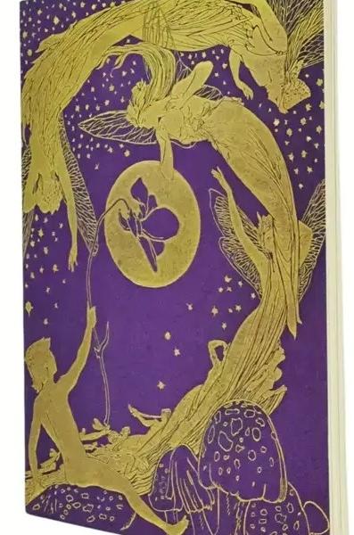 PAPERBLANKS Notizheft A6 CBD6284 Violet Fairy blanko 80 S.