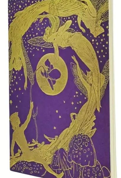 PAPERBLANKS Notizheft A6 CBD6285 Violet Fairy dot 80 S.