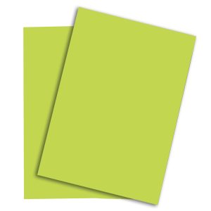 PAPYRUS Rainbow Papier FSC A4 88042608 leuchtend grün, 80g 500 Blatt