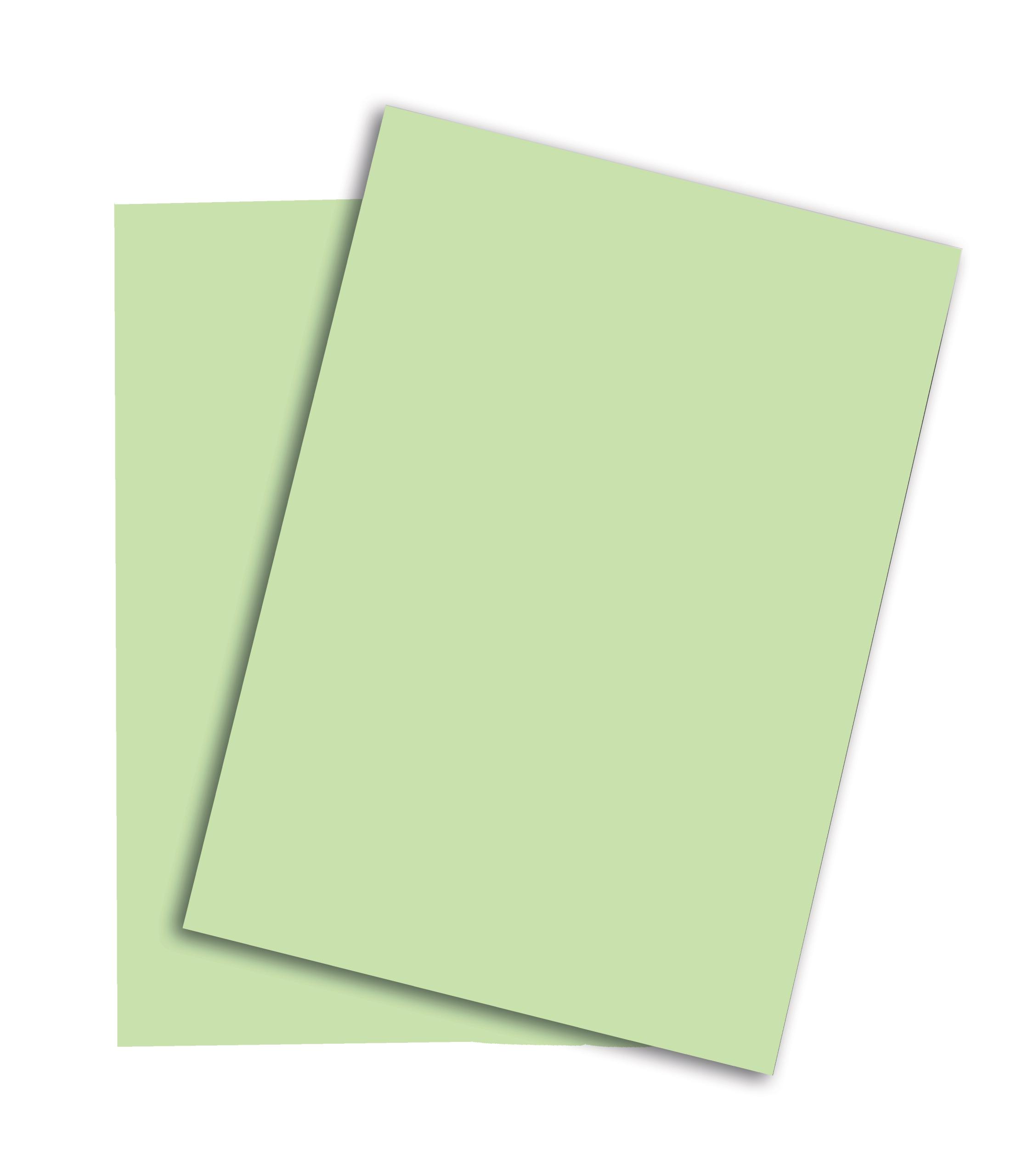 Blank paper sheets for brochure on grey background, top view. Mo PAPYRUS Rainbow Papier FSC A4 88043139 mittelgrün, 160g 250 Blatt – Hochwertig & günstig bei ShopDeca
