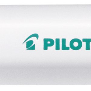 PILOT Marker Pintor F SW-PT-F-G grün