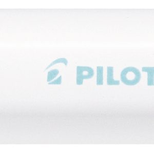 PILOT Marker Pintor F SW-PT-F-PG pastell grün