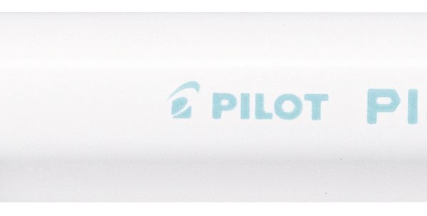PILOT Marker Pintor F SW-PT-F-PG pastell grün