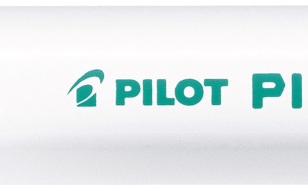PILOT Marker Pintor M SW-PT-M-G grün