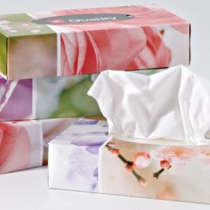 QUALITY Kosmetiktücher 992821 2-lagig 4x100 Stück