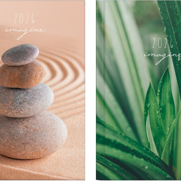 RIDOIDE Agenda Mentor Grafik 2026 7026037956.26 1T/1S assort. ML 14.8x20.8cm